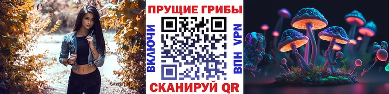 Купить  Кирс  Псилоцибиновые грибы прущие грибы 
